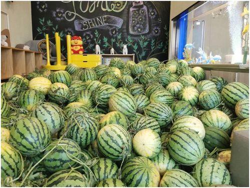 今日吃瓜中心,揭秘娱乐圈最新热点事件