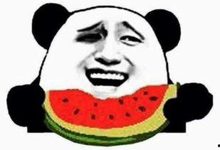 朝阳吃瓜群众今日吃瓜视频,今日热门吃瓜视频大揭秘