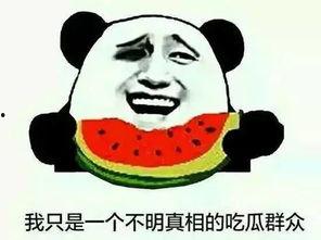 吃瓜群是什么群,网络社交新现象背后的故事